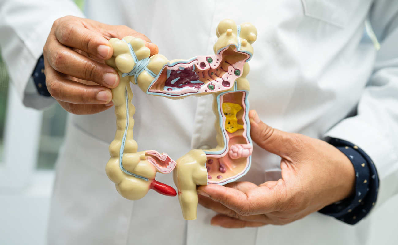 Gut Health 2
